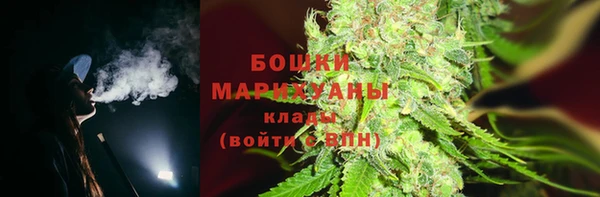 apvp Богданович