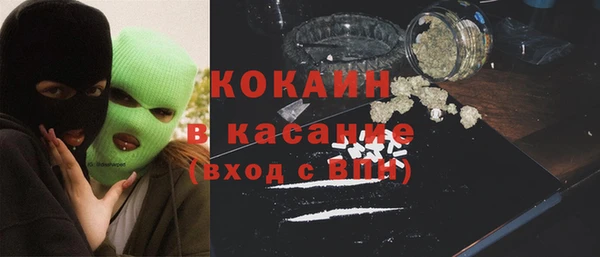 хмурый Белокуриха