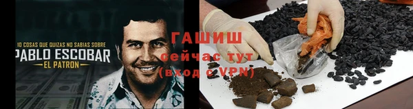 хмурый Белокуриха