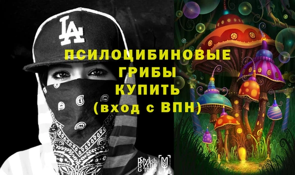 apvp Богданович