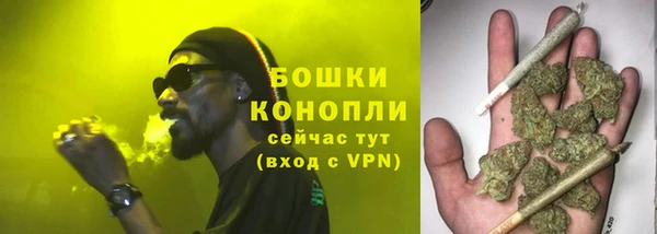 хмурый Белокуриха