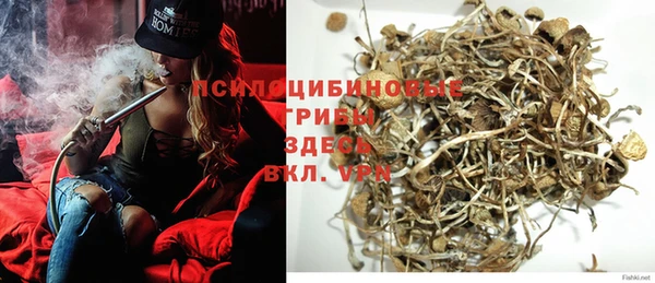 хмурый Белокуриха