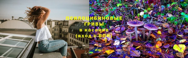 apvp Богданович