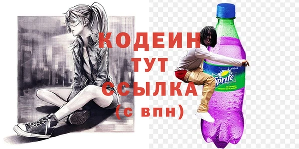 хмурый Белокуриха